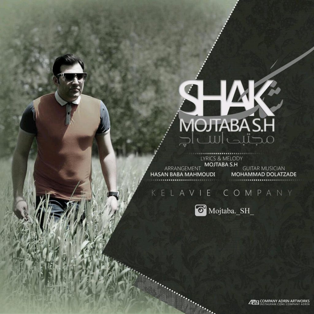 mojtaba-s-h