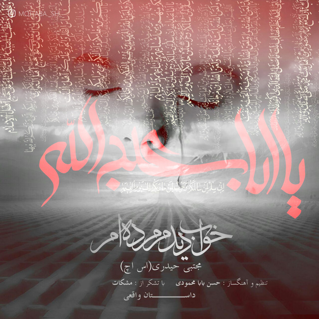 mojtaba-s-h-khaab-didam-mordeam