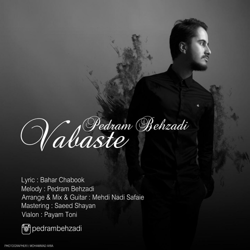 pedram-behzadi-vabasteh