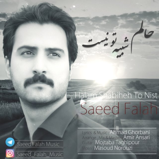 saeed-falah-halam-shabihe-to-nist