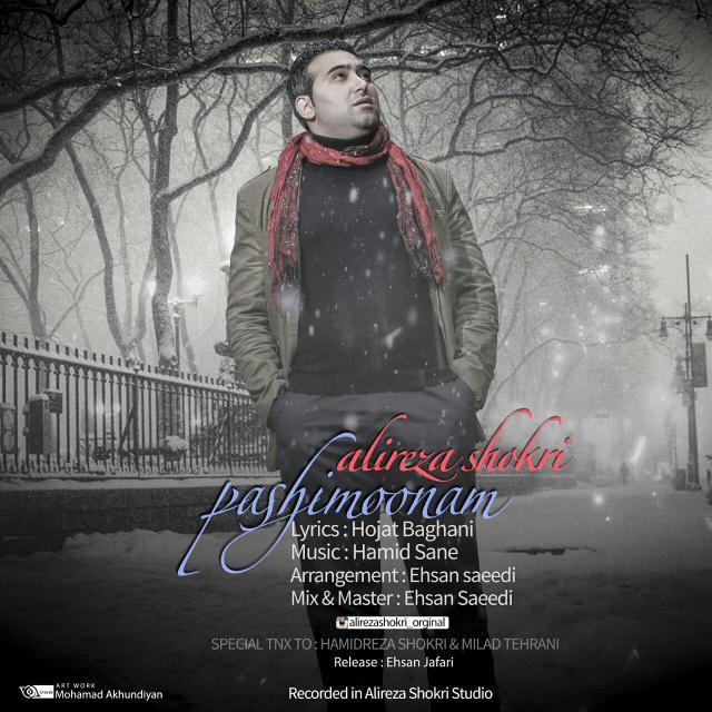 alireza-shokri-pashimonam