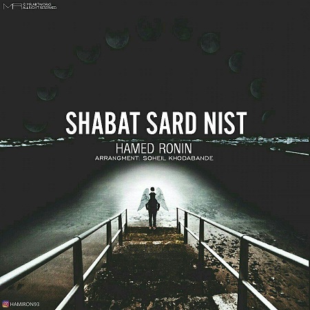 hamed-ronin-shabat-sard-nist