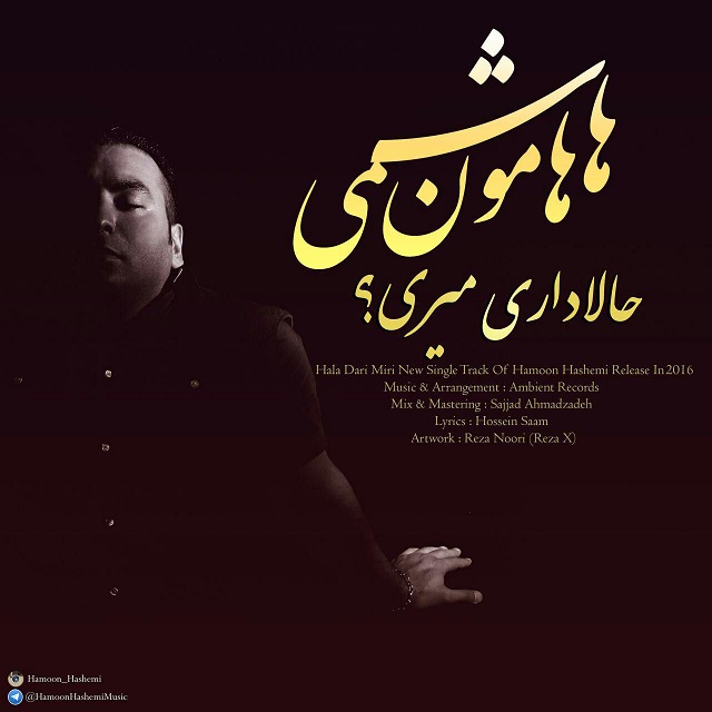hamoon-hashemi
