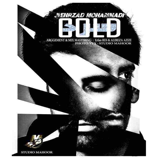 mehrzad-mohammadi-sard