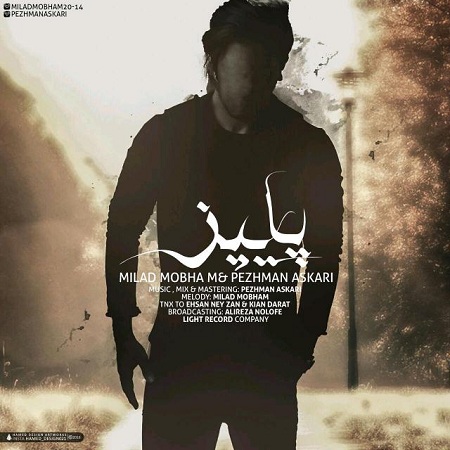 milad-mobham-pezhman-askari-paeez