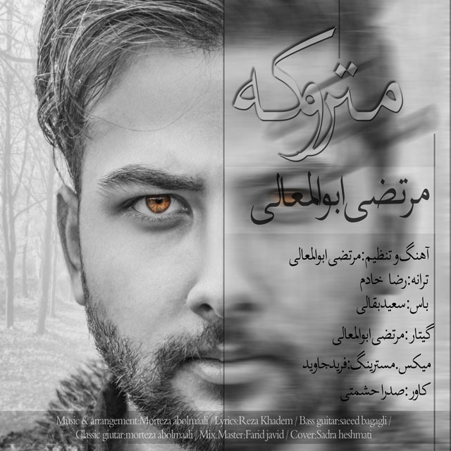 morteza-abolmaali-matrookeh