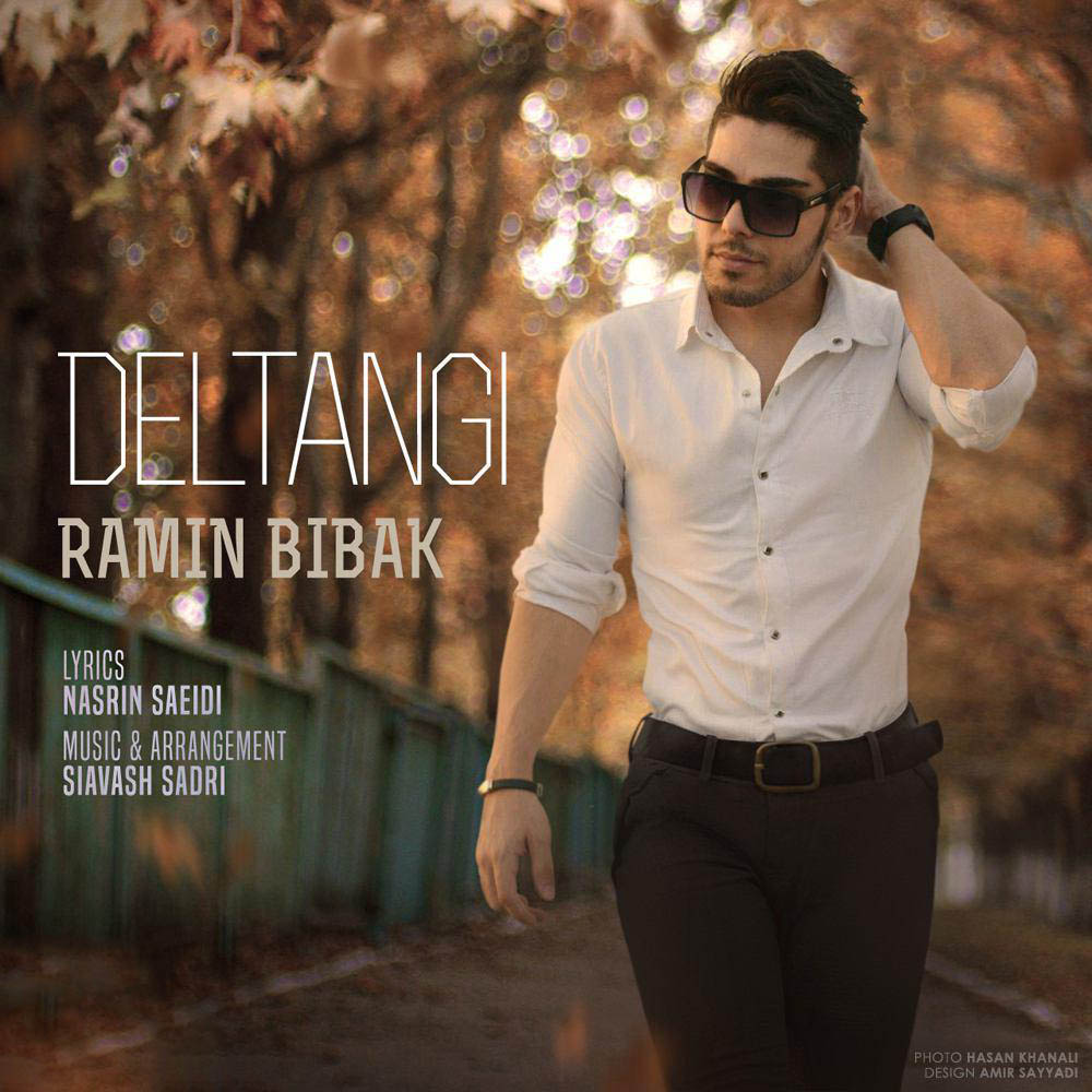 ramin-bibak-deltangi