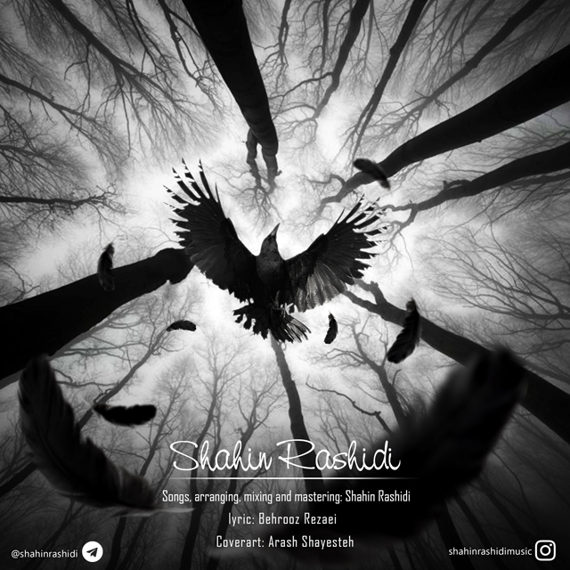 shahin-rashidi-kalagh