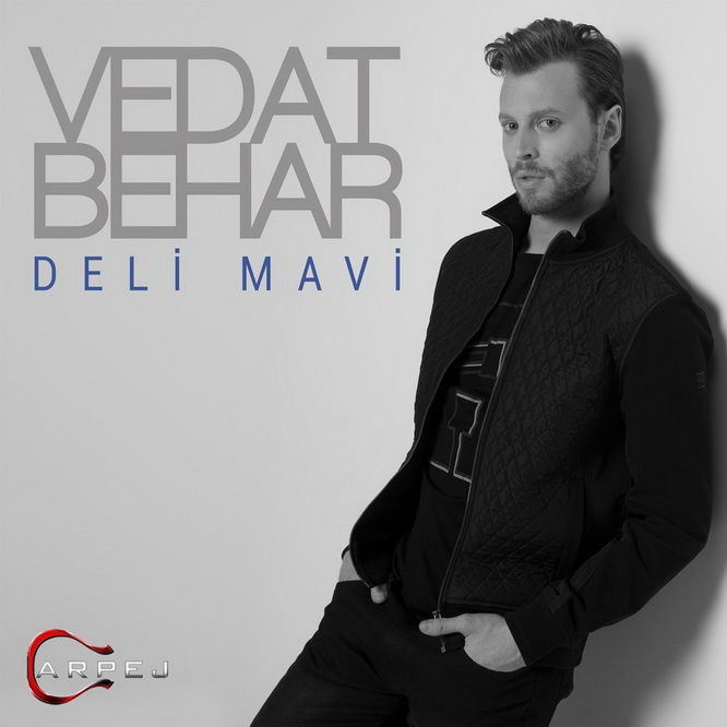 vedat-behar-deli-mavi-2016