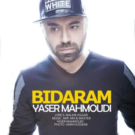 yaser-mahmoudi-bidaram