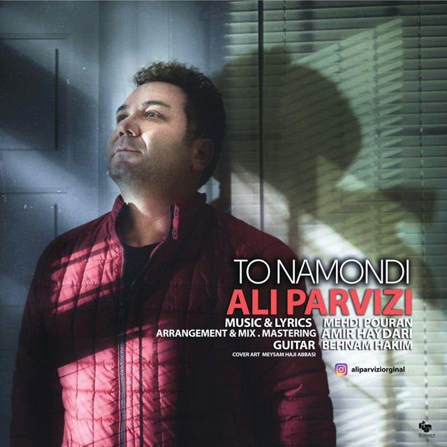 aliparvizi