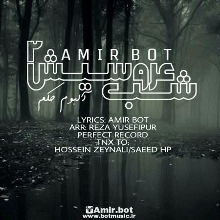 amir-bot-shabe-arousish-2