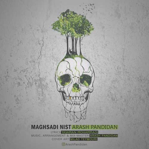 arash-pandidan-maghsadi-nist