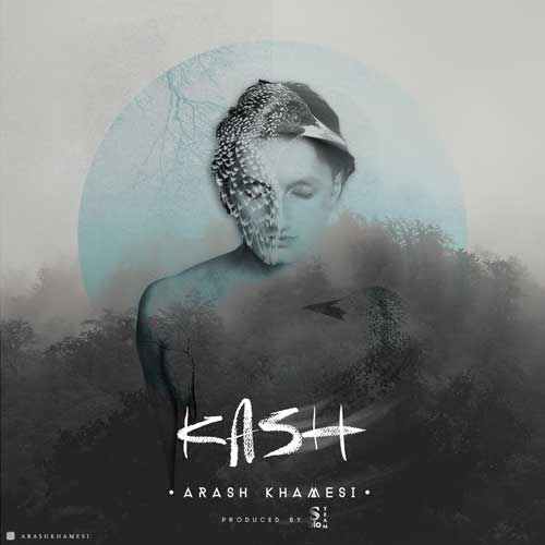 arash-khamesi-kash