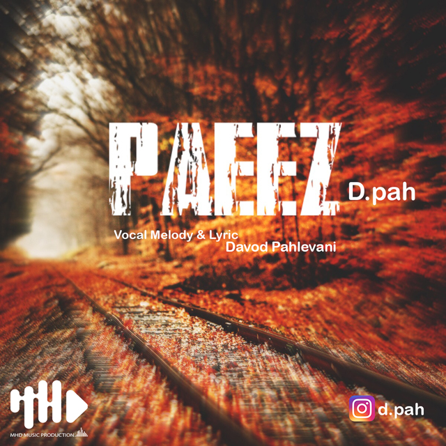 davood-pahlevani-paeez