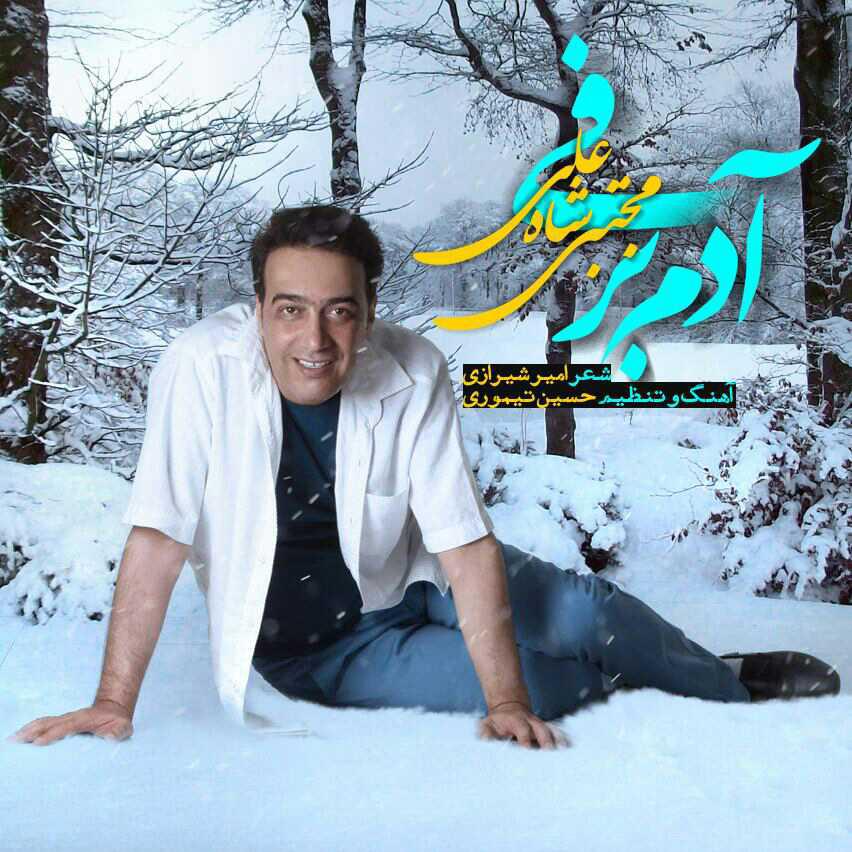 mojtaba-shah-ali-adam-barfi