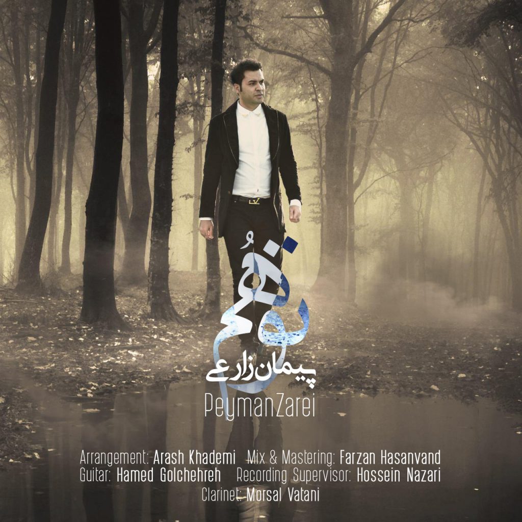 peyman-zarei-tavahom