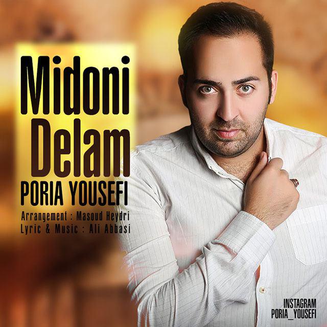 poria-yousefi-midoni-delam