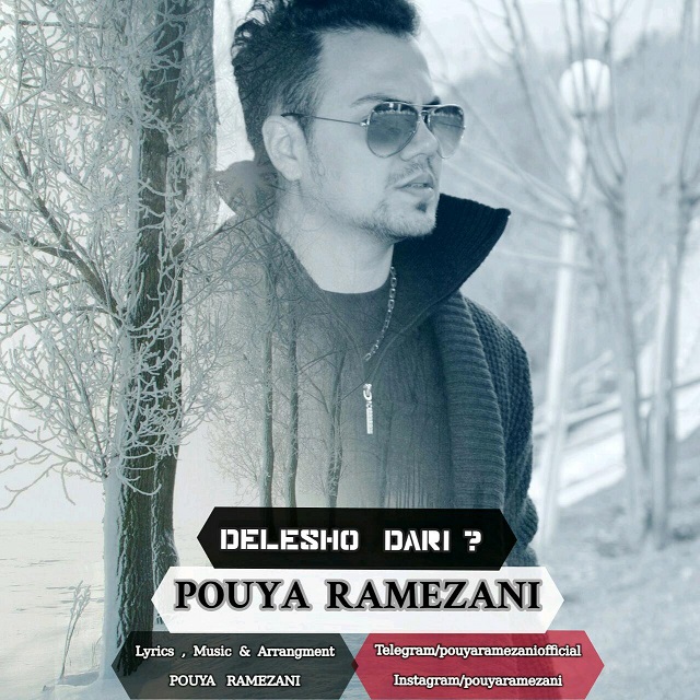 pouya-ramezani-delesho-dari