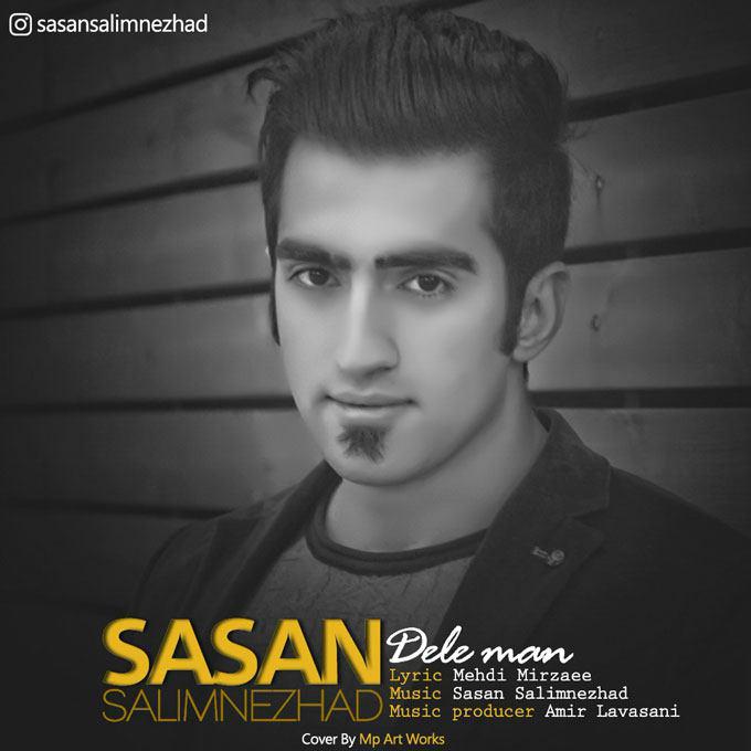 sasan-salimnezhad-dele-man