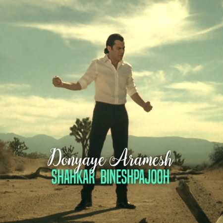 shahkar-bineshpajooh-donyaye-aramesh