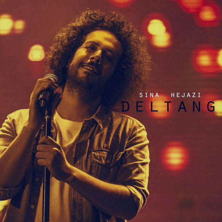 sina-hejazi-deltang